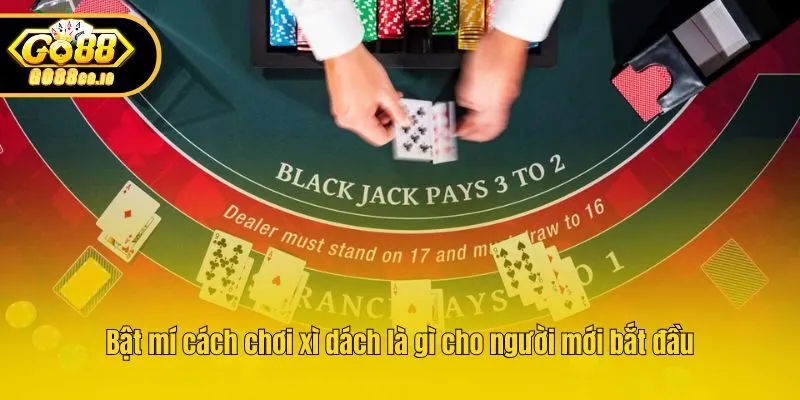 Bật mí cách chơi xì dách là gì cho người mới bắt đầu