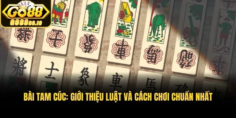 Bài Tam Cúc: Giới Thiệu Luật Và Cách Chơi Chuẩn Nhất