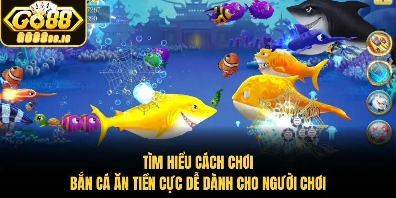 Tìm hiểu cách chơi bắn cá ăn tiền cực dễ dành cho người chơi