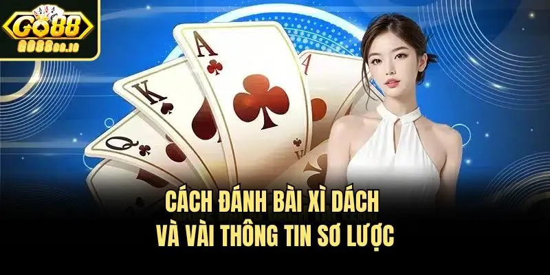 Cách đánh bài Xì Dách và vài thông tin sơ lược
